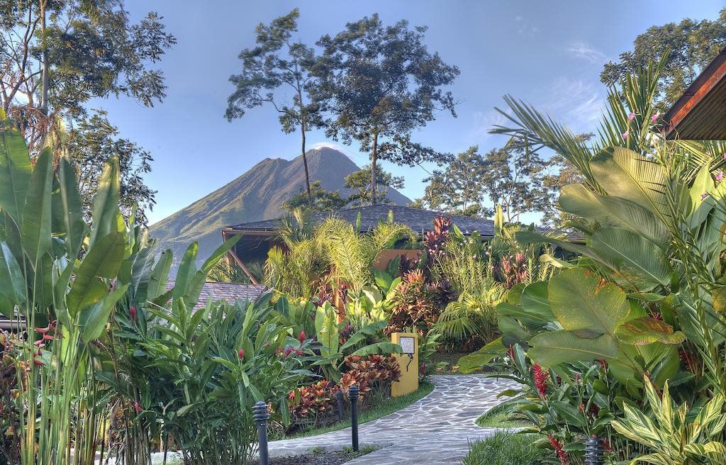 Arenal