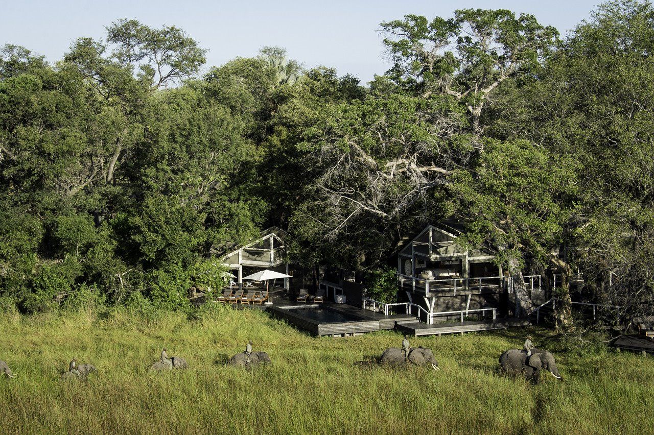 Abu Camp en Delta Okavango