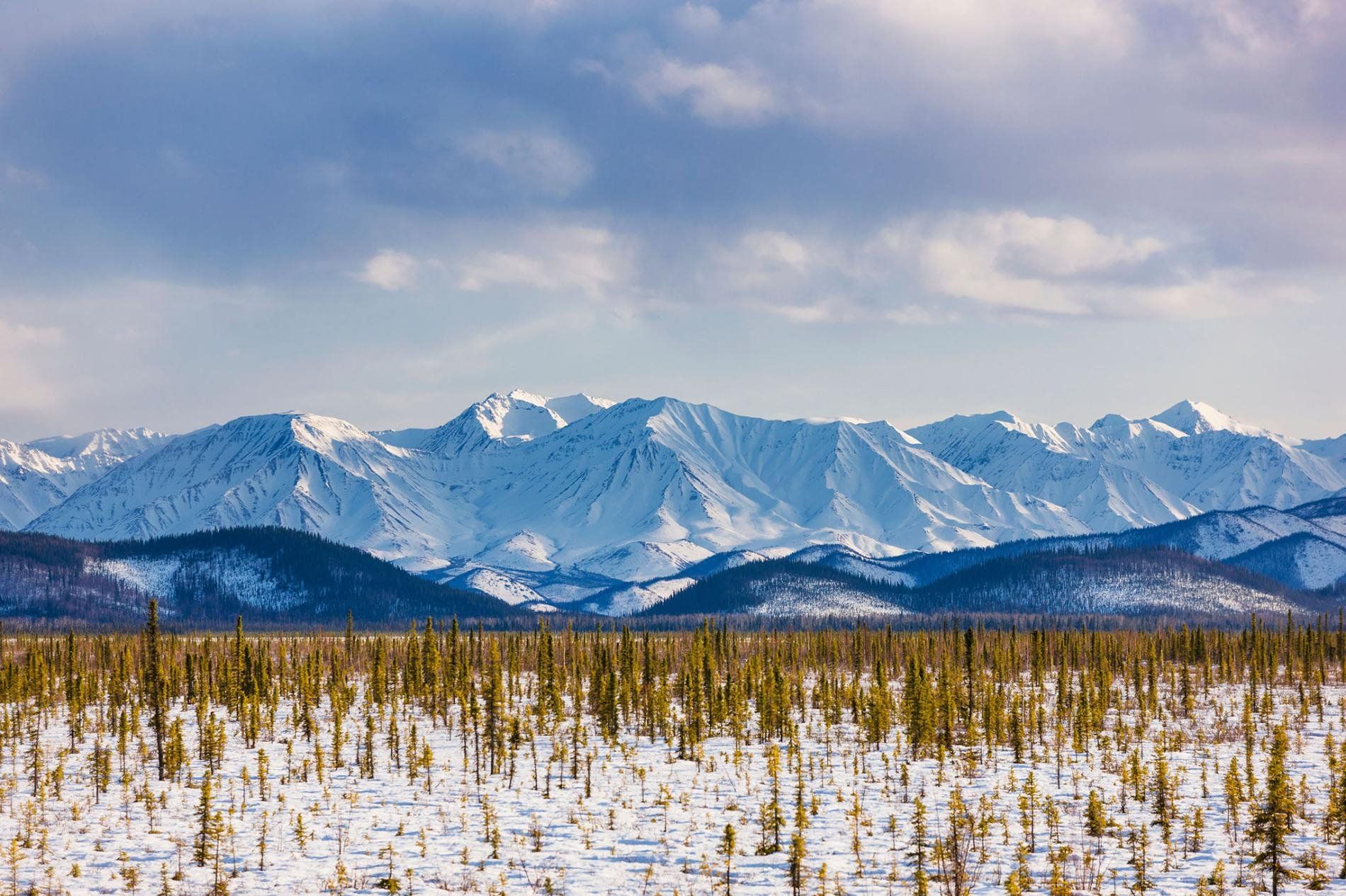 Alaska | LAT.40