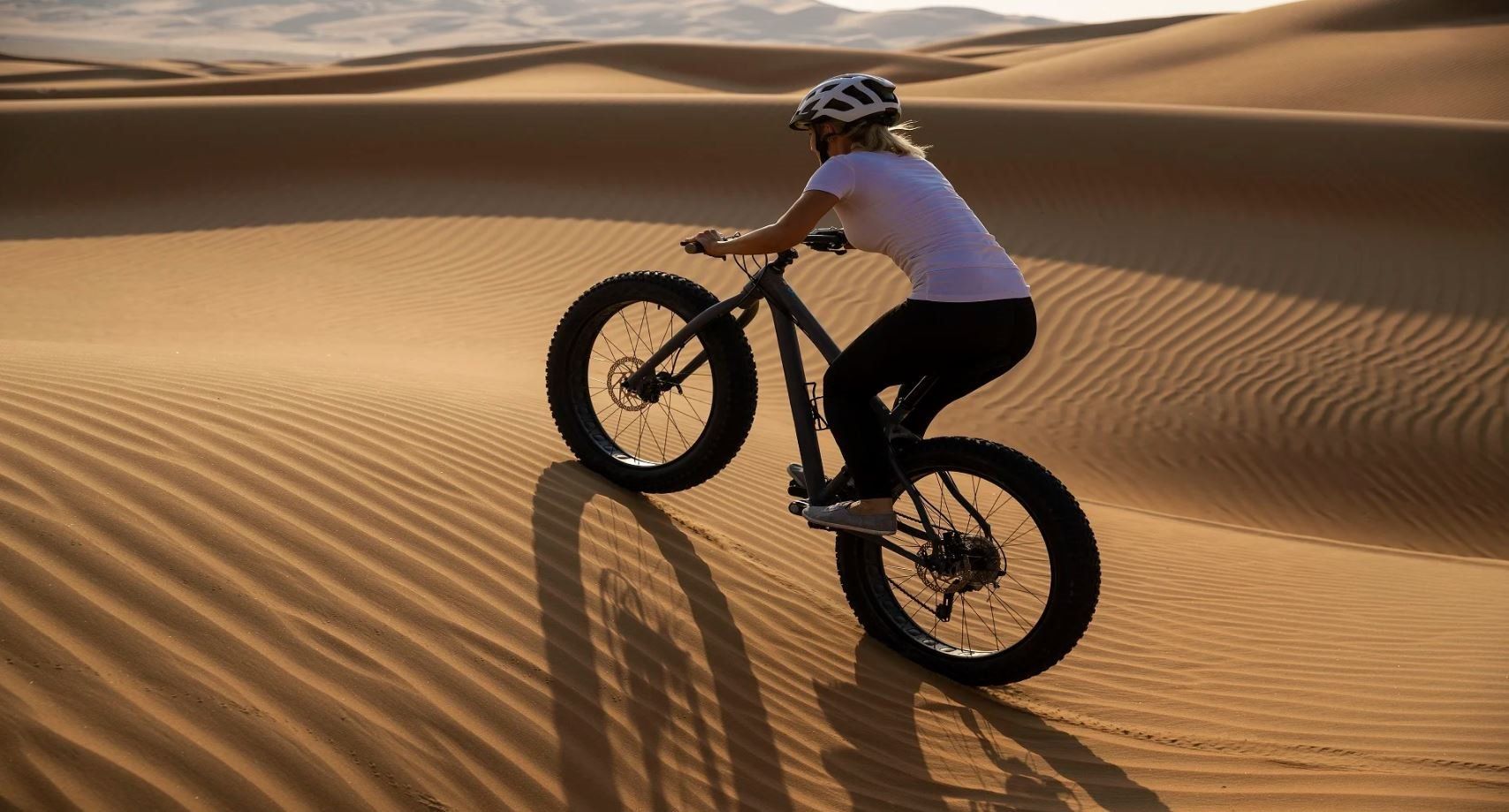 Anantara Qasr al Sarab Desert Resort en Abu Dhabi