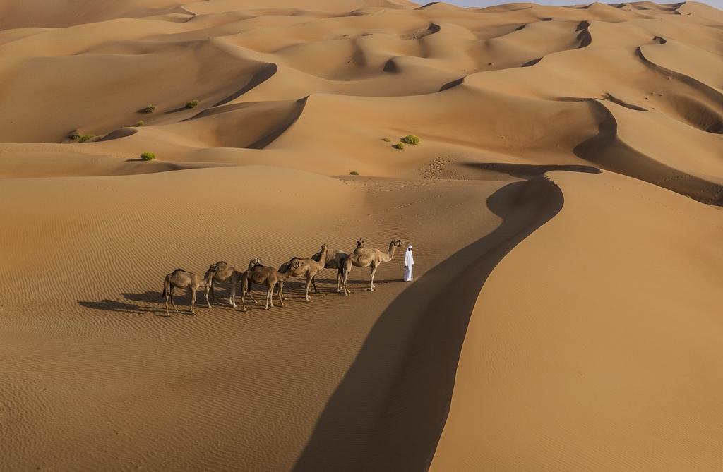 Anantara Qasr al Sarab Desert Resort en Abu Dhabi