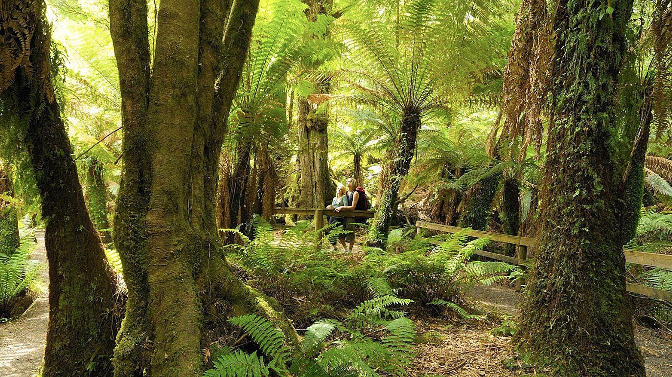 Callignee II Eco Bush Retreat en Australia