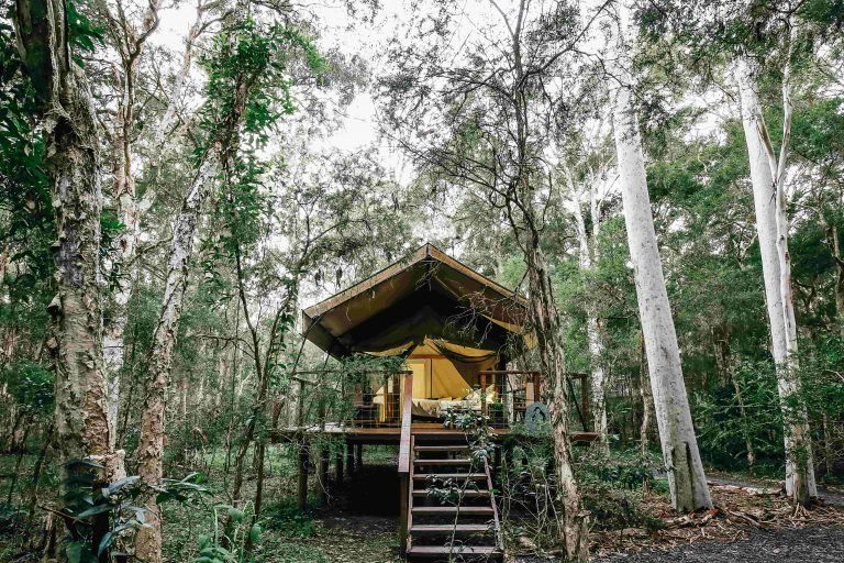 Paperbark Camp en Australia