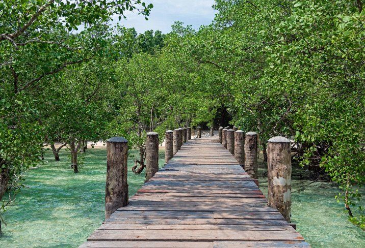 Wa Ale Resort en Burma