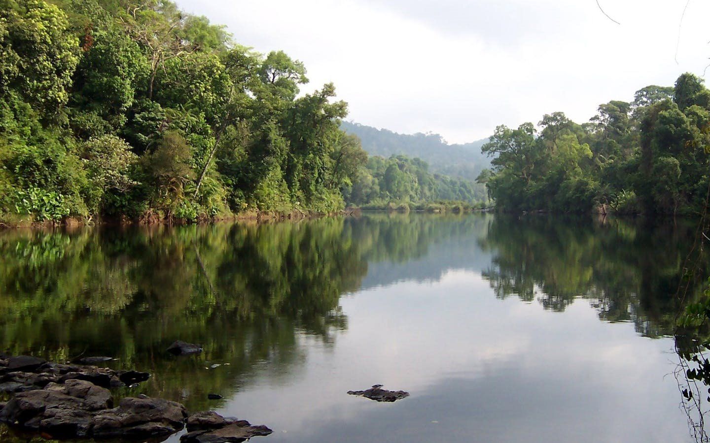 Cardamom National Park | LAT.40