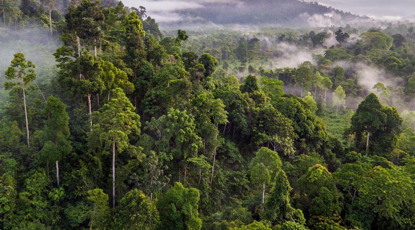 Cardamom National Park | LAT.40
