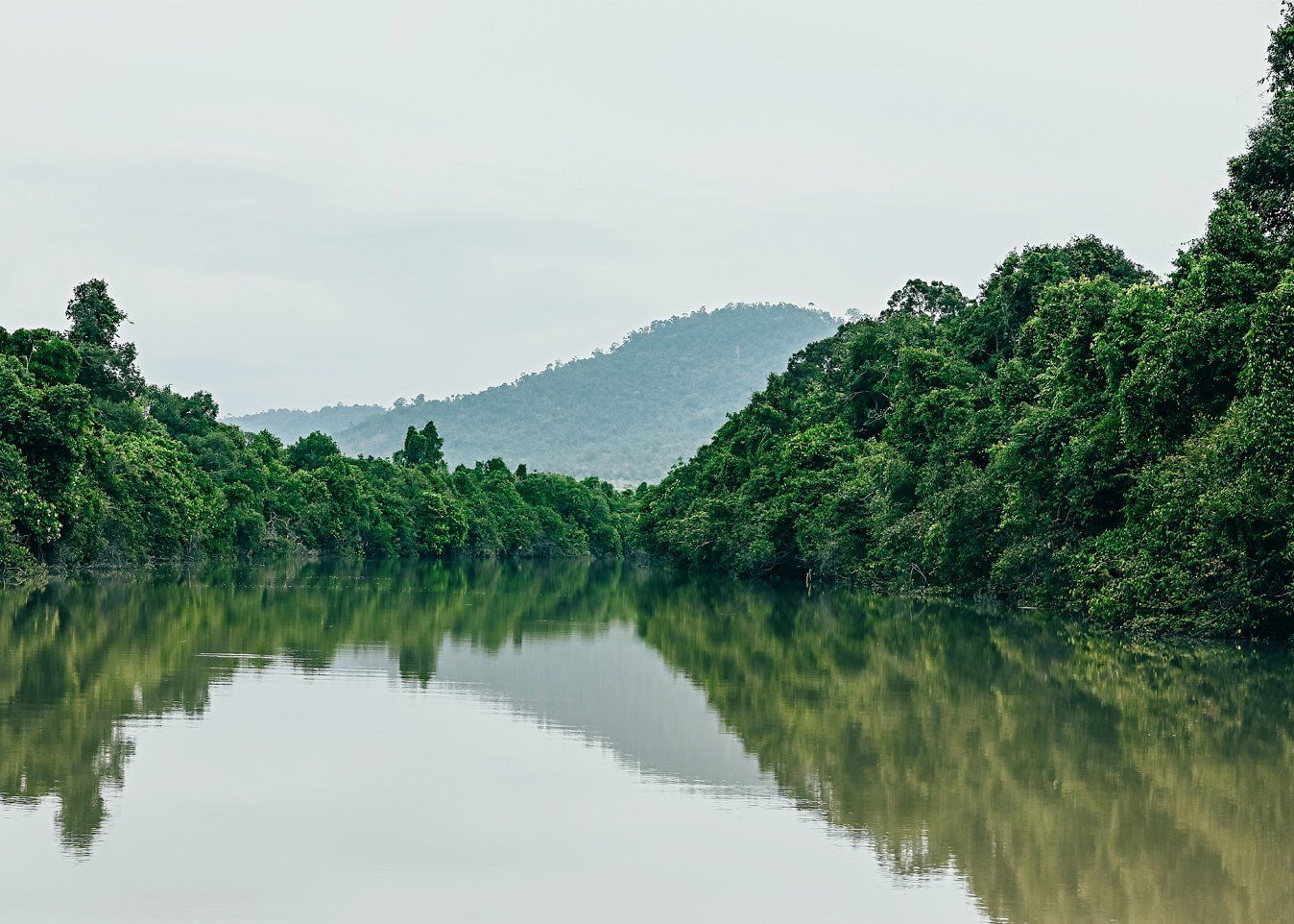 Shinta Mani Wild en Cardamom National Park