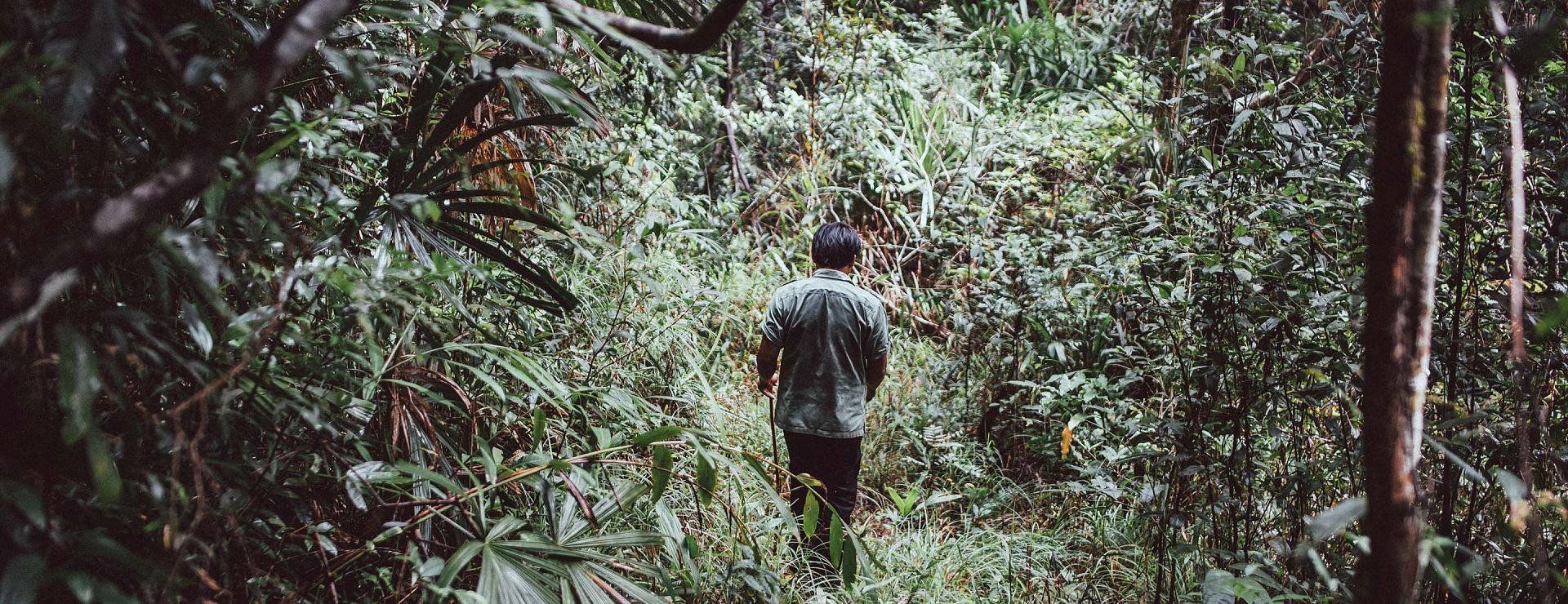 Shinta Mani Wild en Cardamom National Park