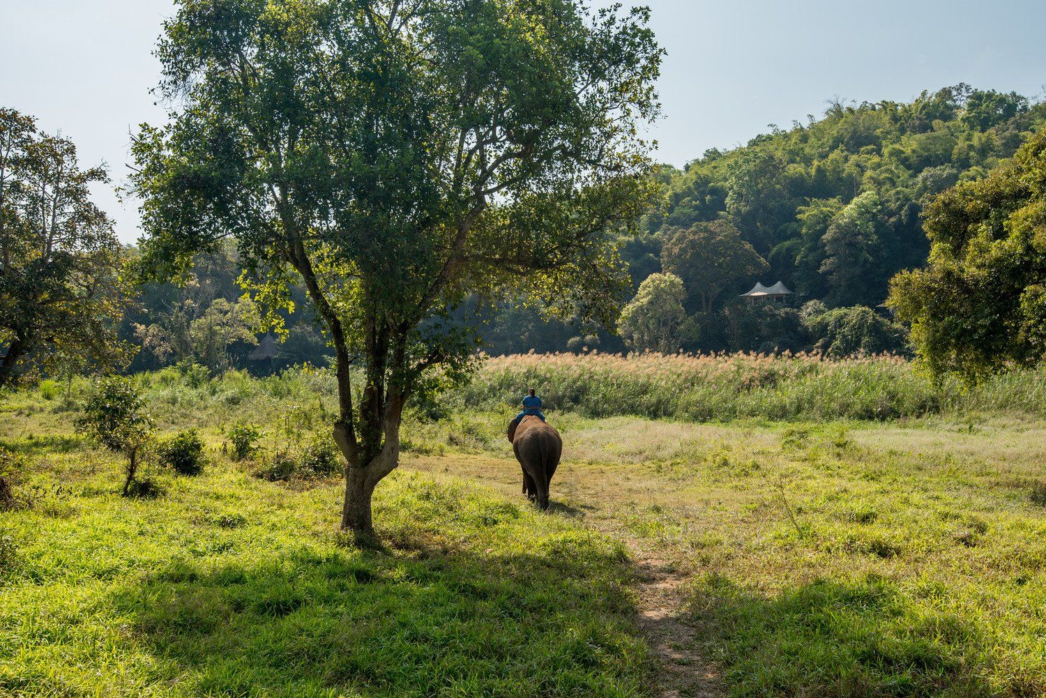 Four Seasons Tented Camp Golden Triangle en Chiang Rai