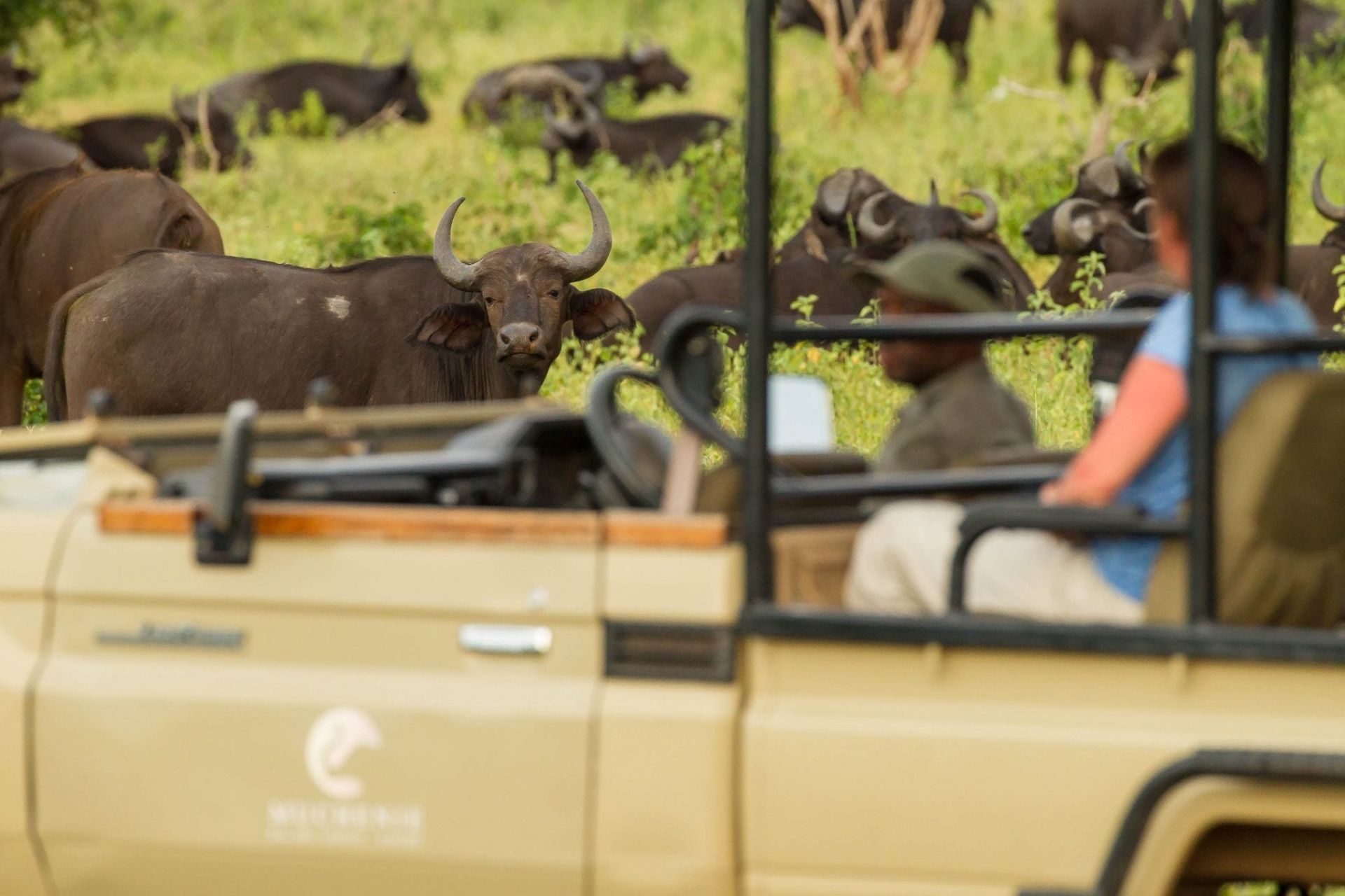 Muchenje Safari Lodge en Chobe