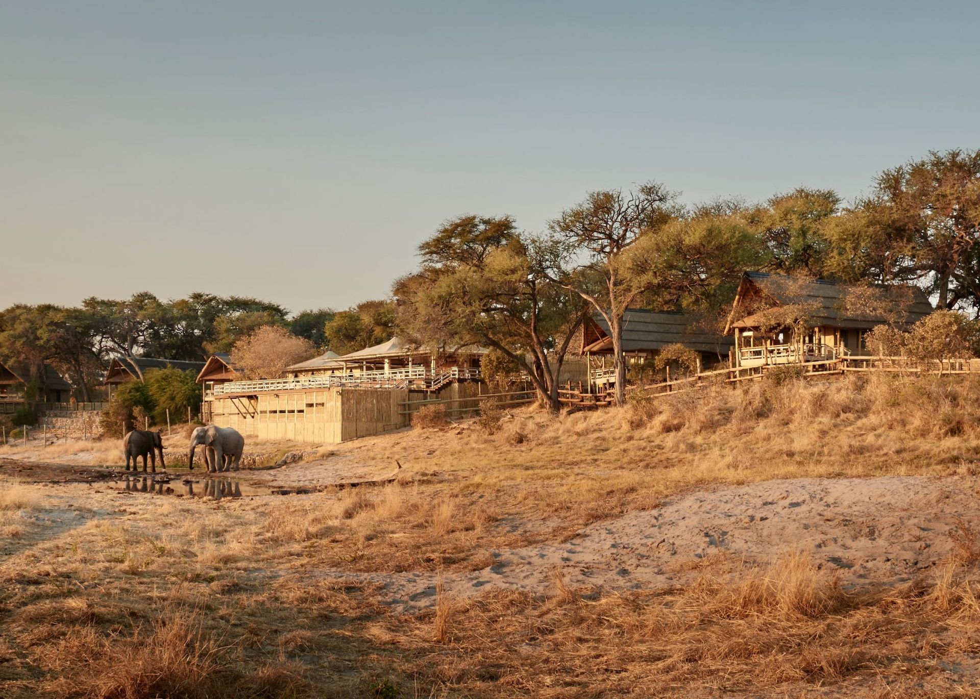 Belmond Savute Elephant Lodge en Chobe