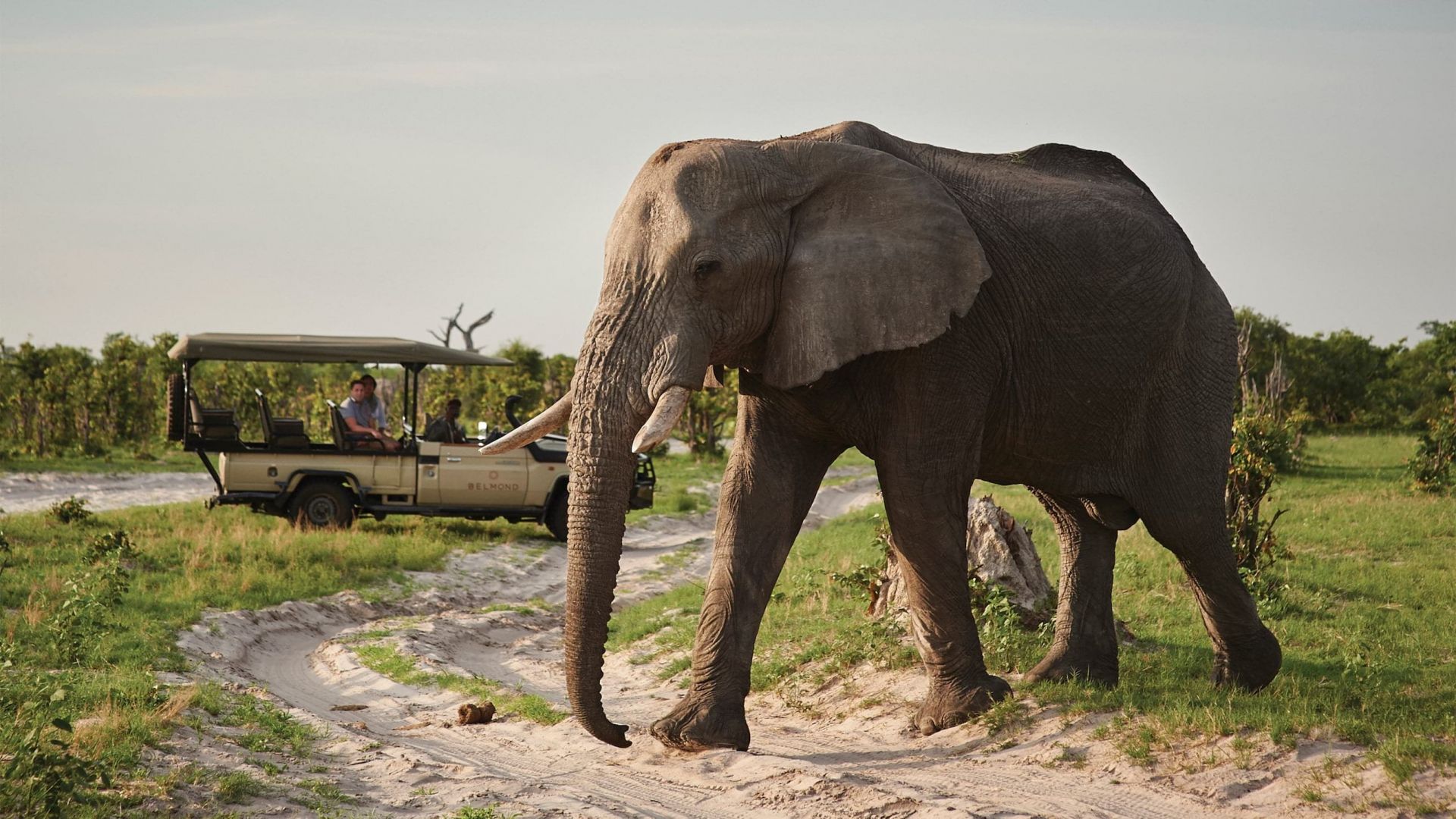 Belmond Savute Elephant Lodge en Chobe