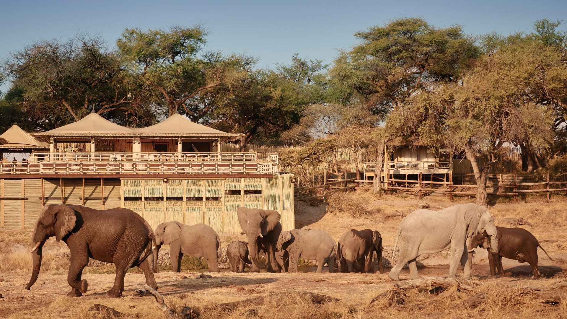 Belmond Savute Elephant Lodge en Chobe
