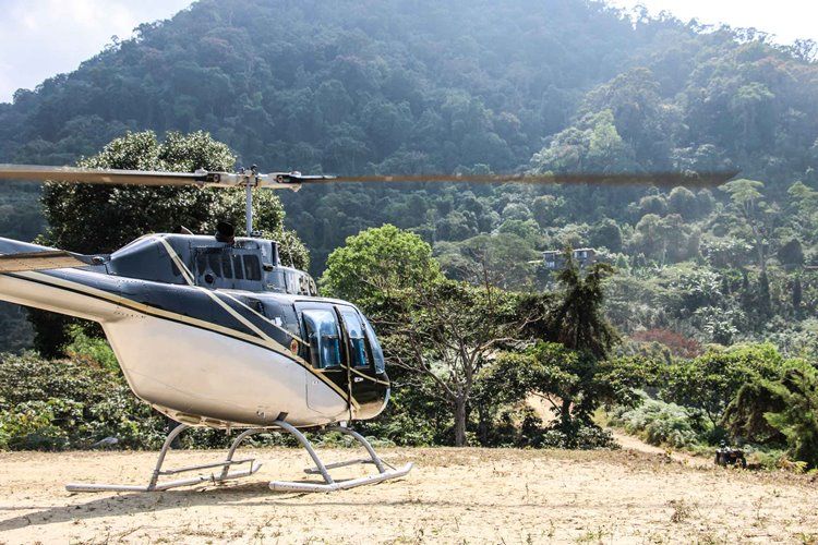 Casa Oropendola en Colombia