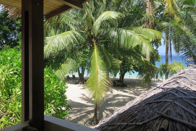 Coral Eye en Bangka Island