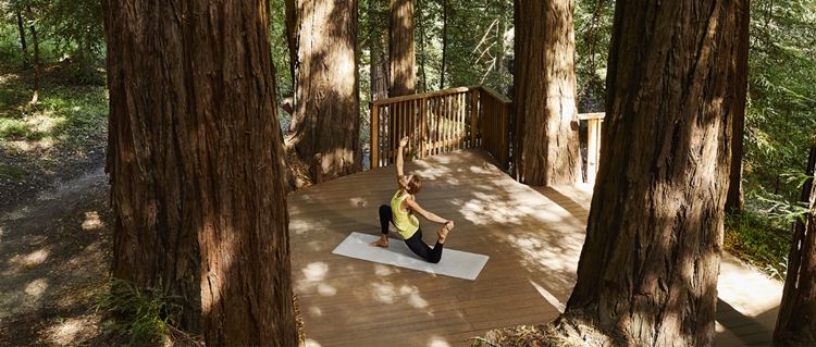 Canyon Ranch Woodside en United States