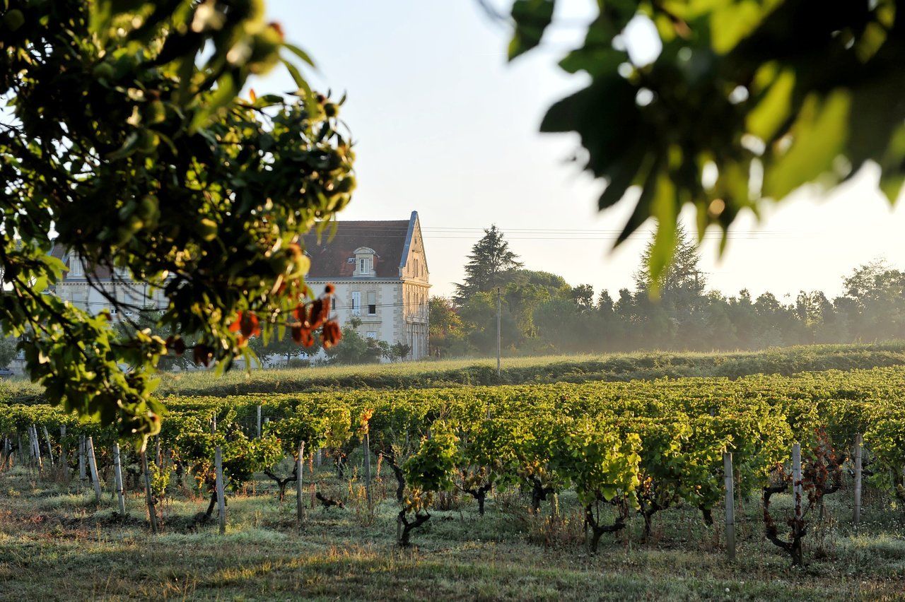 Les Sources de Caudalie en France