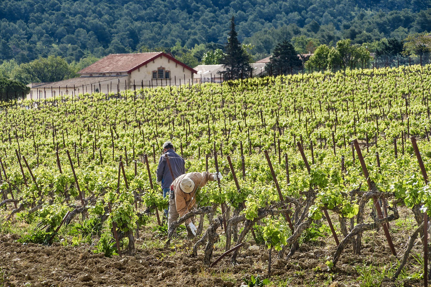 Villa La Coste en France