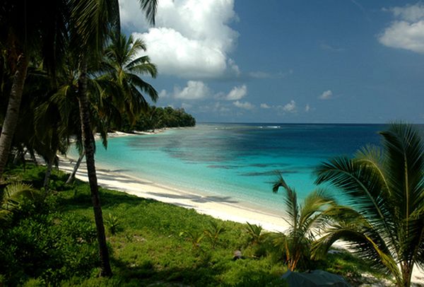 Hollow Tree's Resort en Islas Mentawai
