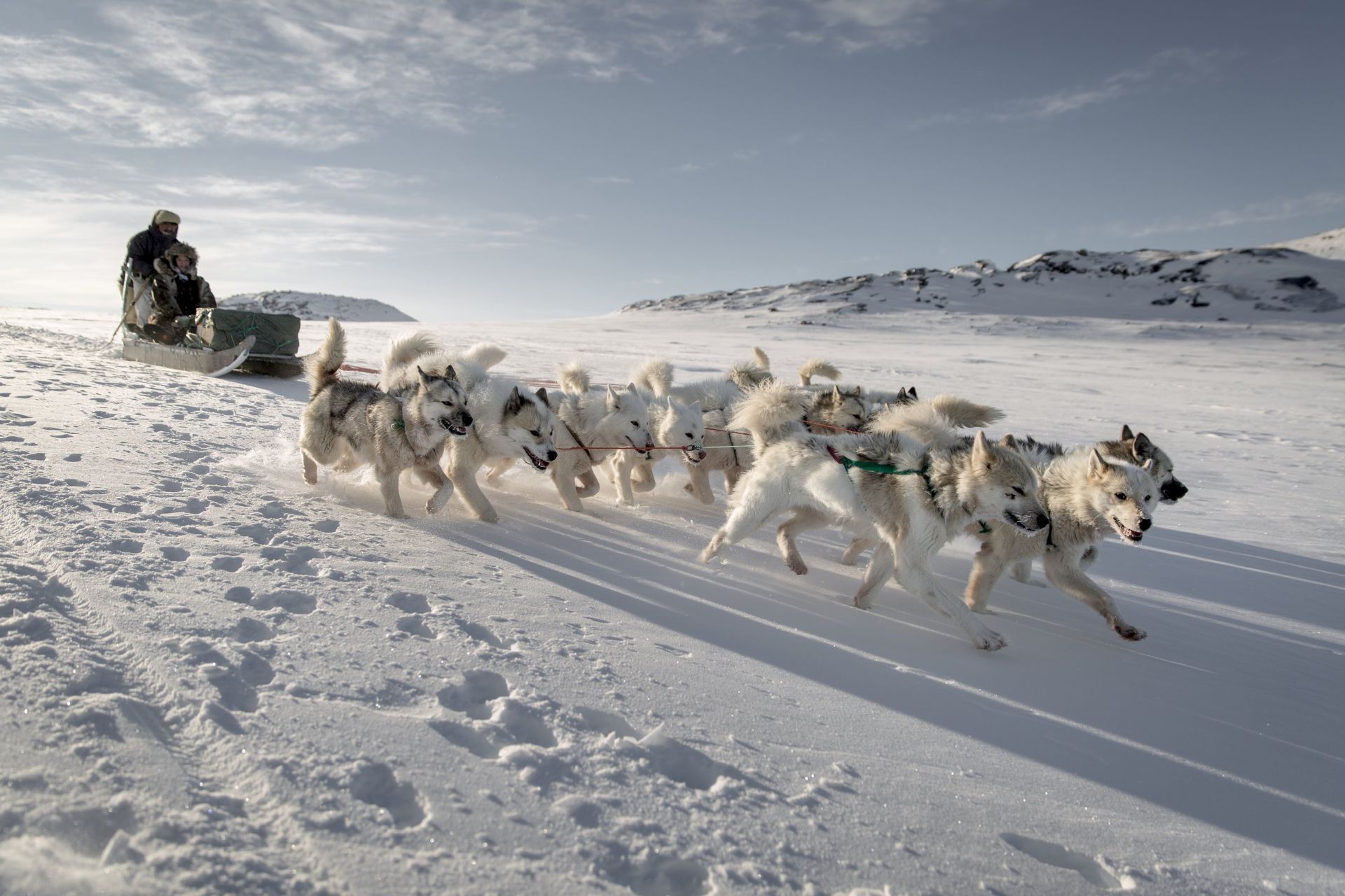 Ilulissat | LAT.40