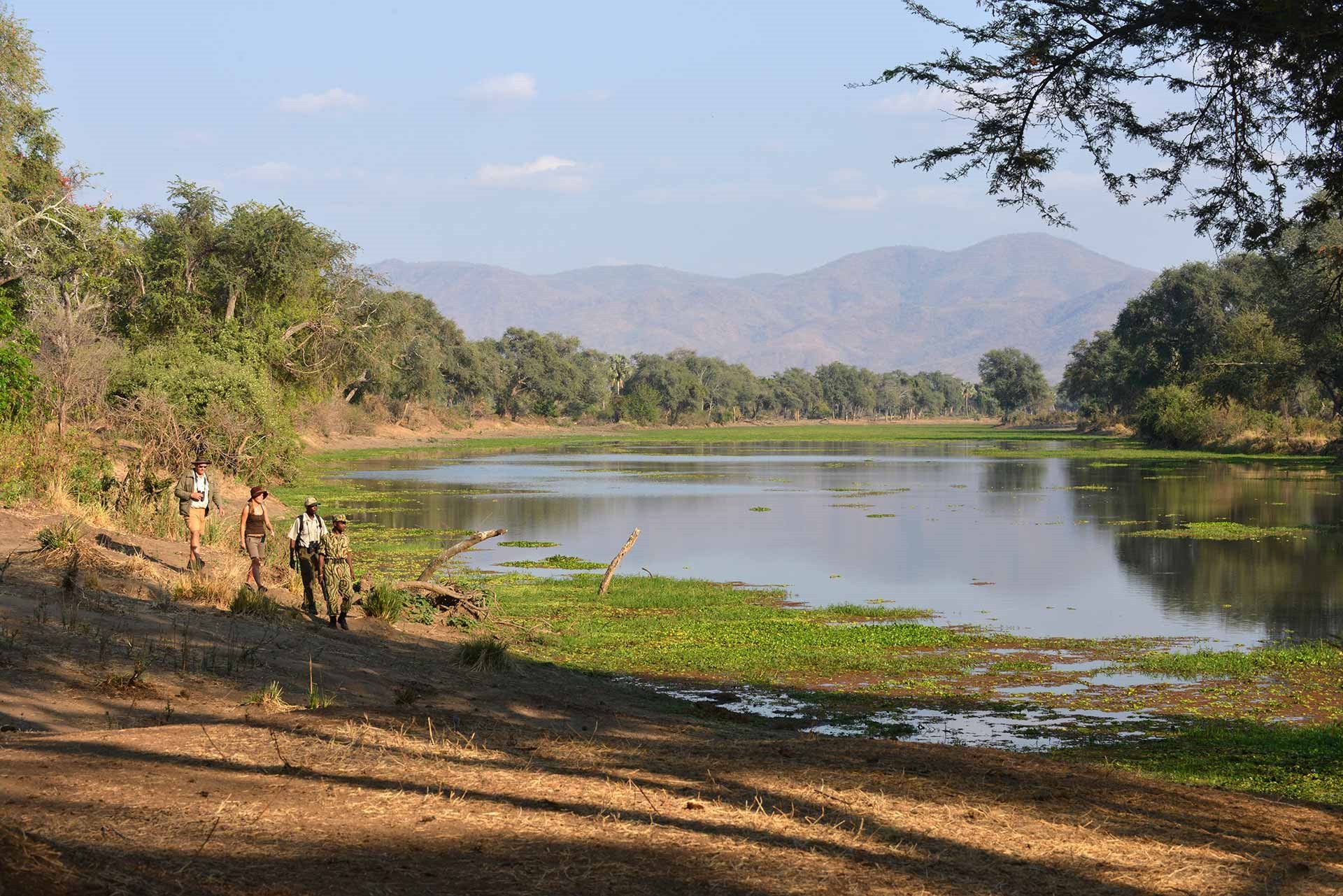 Sausage Tree Camp en Lower Zambezi
