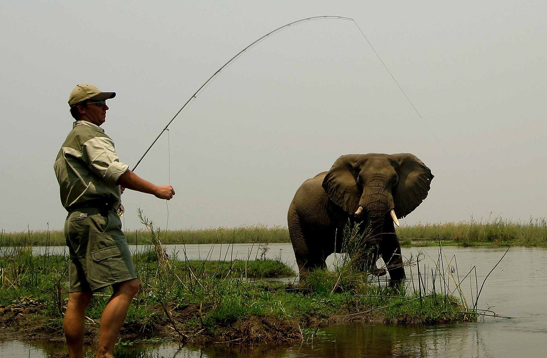 Sausage Tree Camp en Lower Zambezi