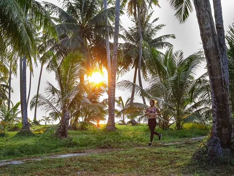 Macaronis Resort en Islas Mentawai