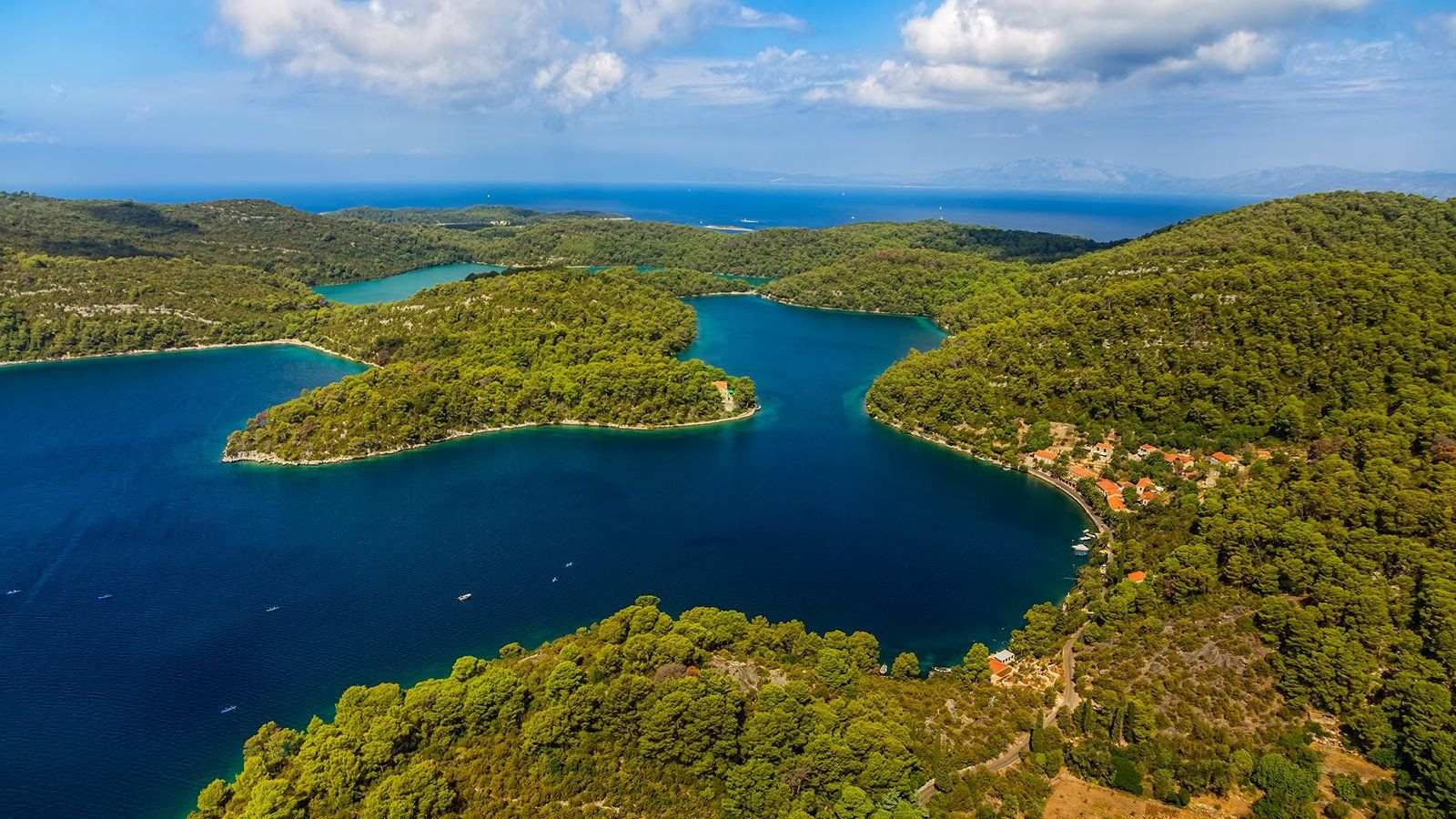 Mljet | LAT.40