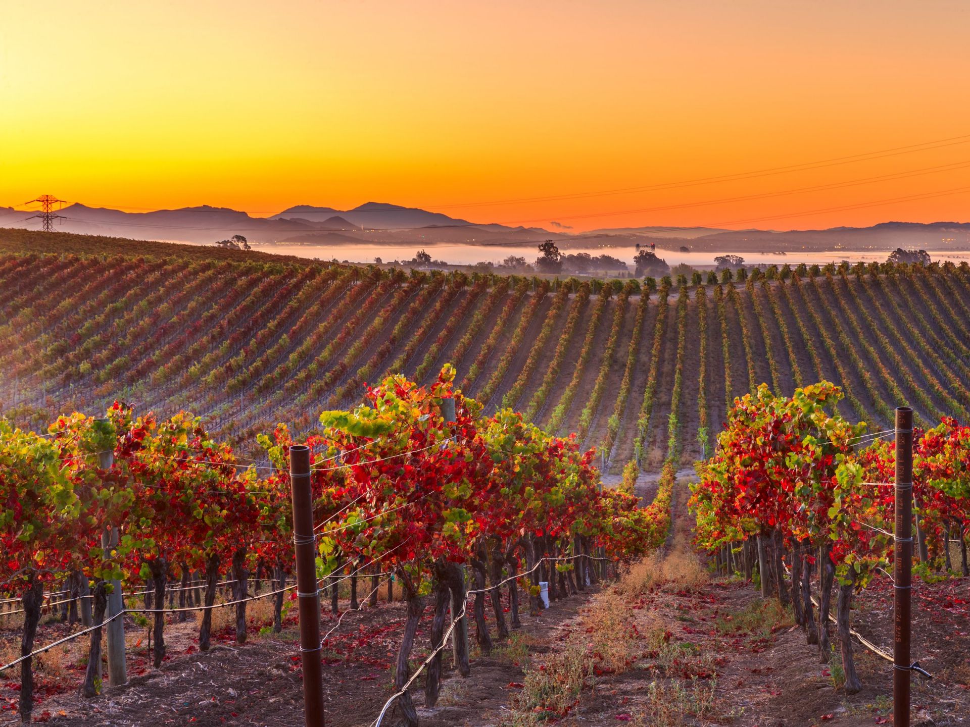 Napa Valley | LAT.40