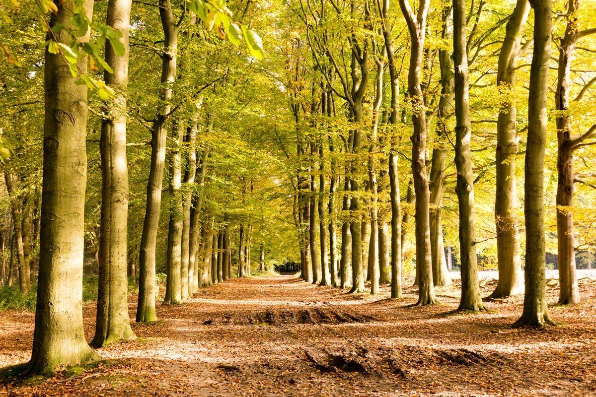 Parc Broekhuizen en Netherlands