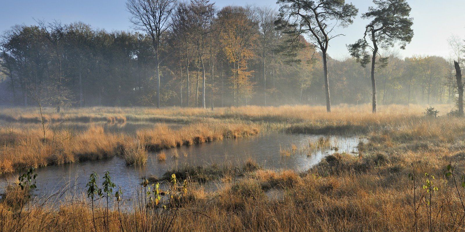 Parc Broekhuizen en Netherlands