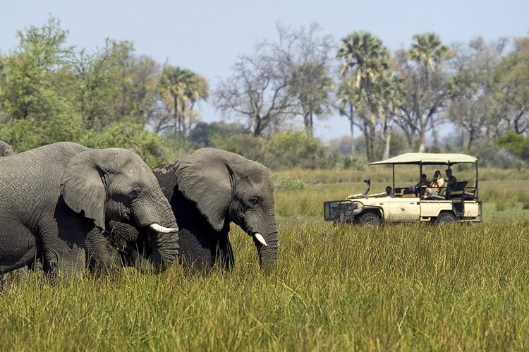 Ngorongoro