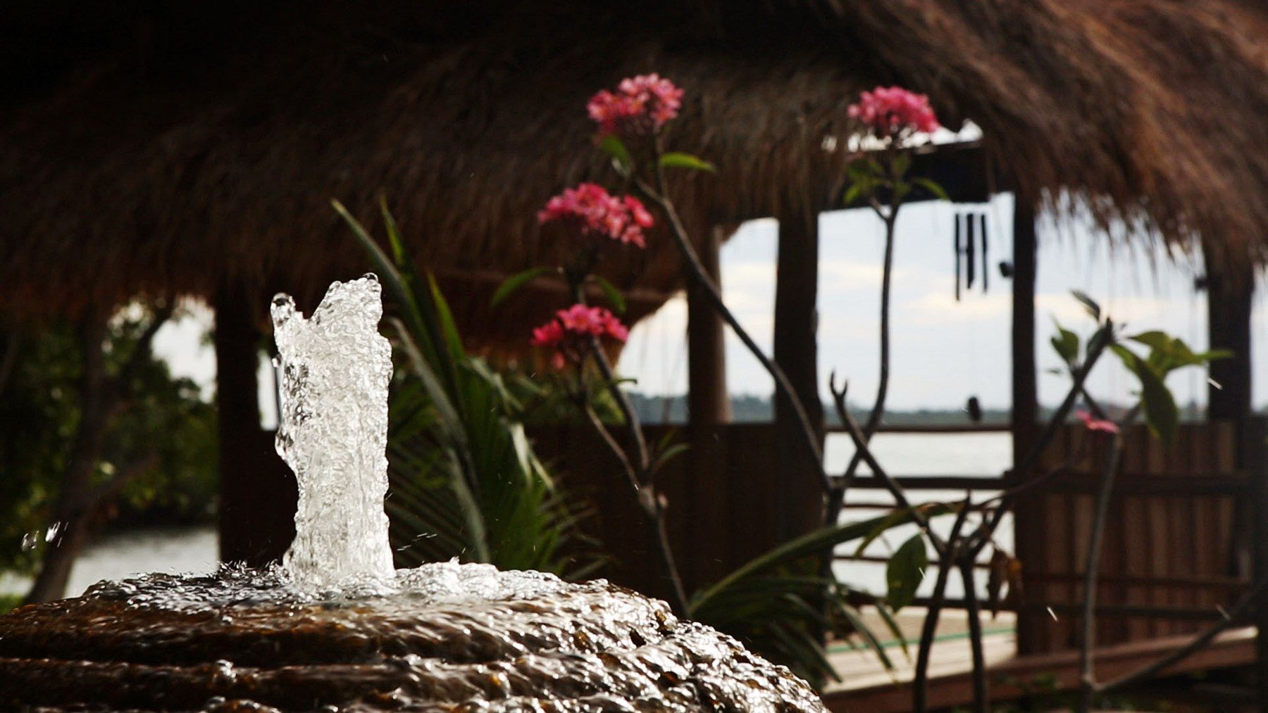 Pangkil Island | LAT.40