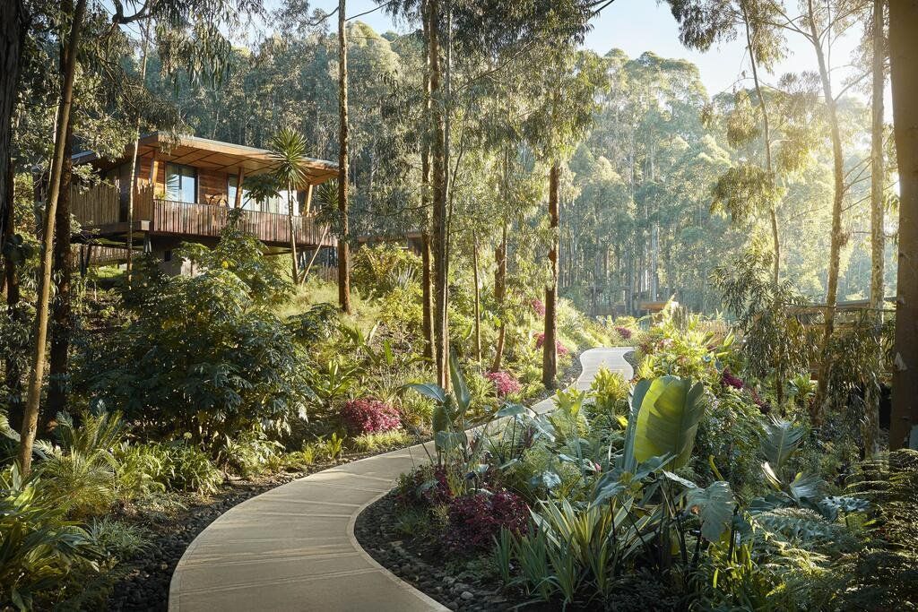 One&Only Gorilla's Nest en Rwanda