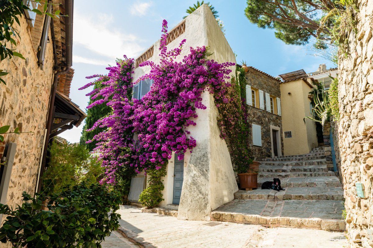 Saint Tropez | LAT.40