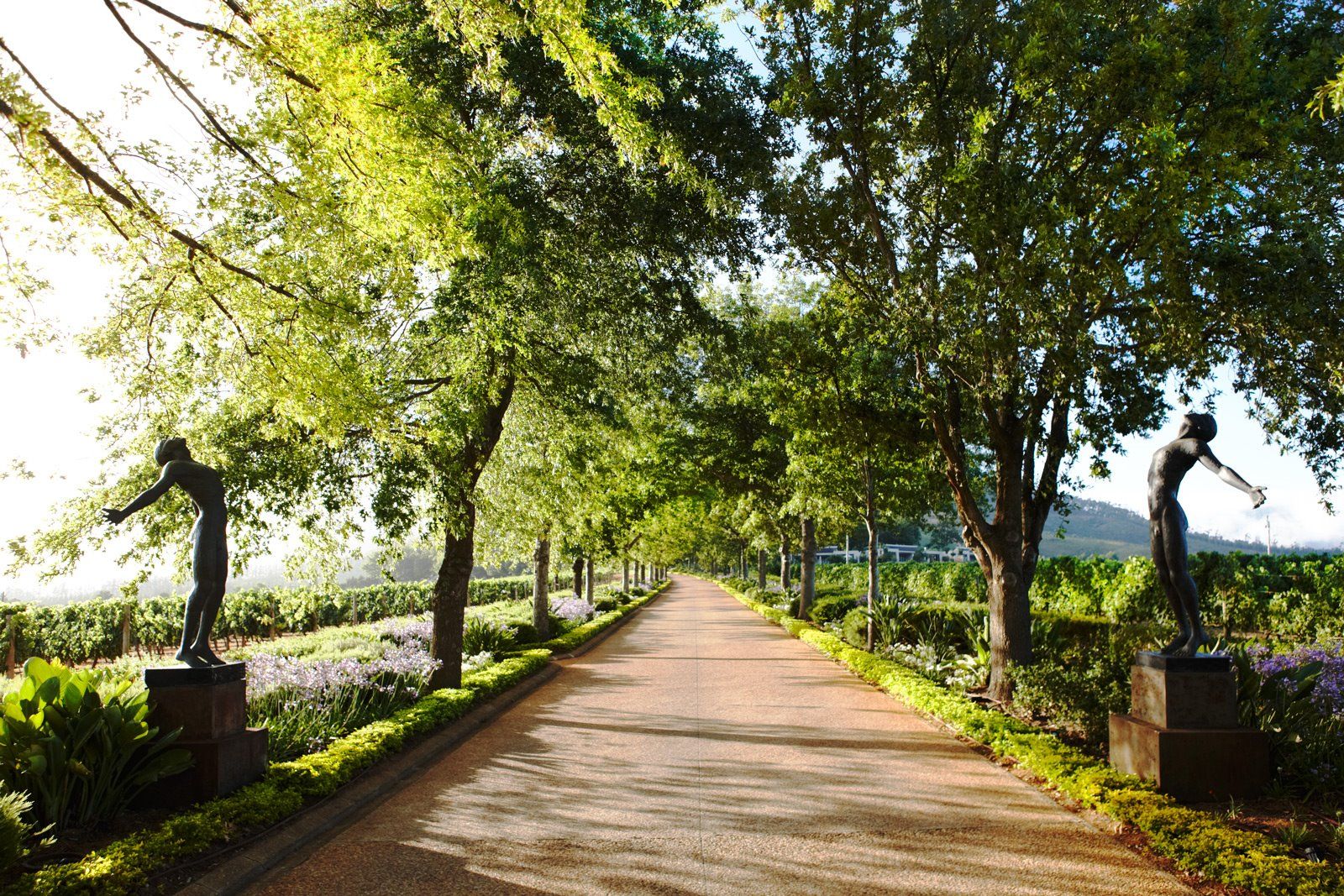 Delaire Graff Estate en Stellenbosch