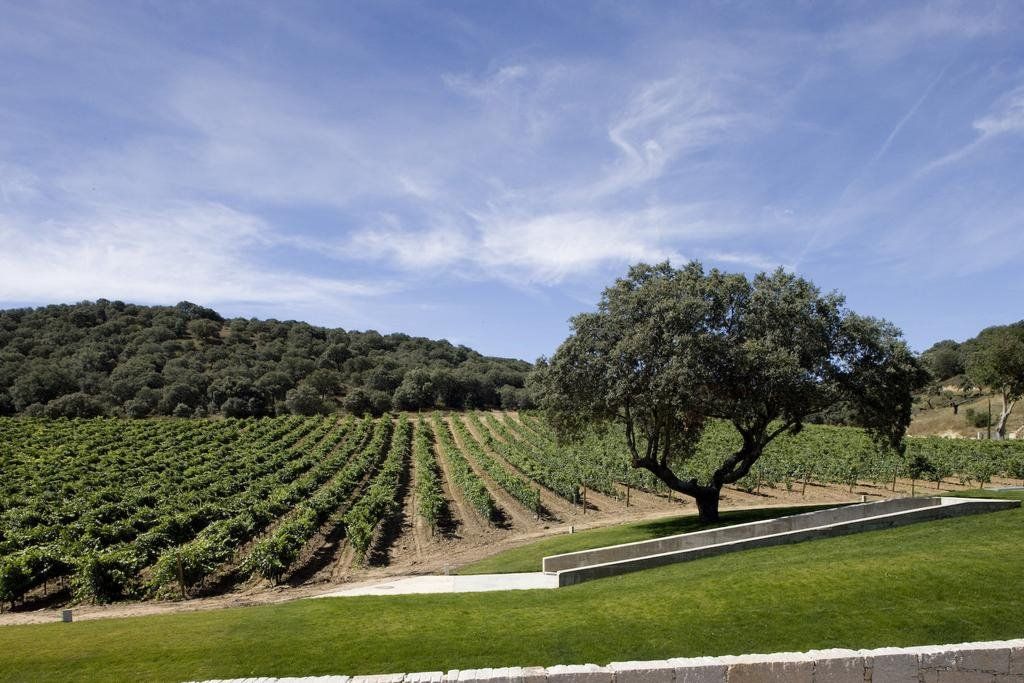 Valbusenda Hotel Bodega & Spa en Spain