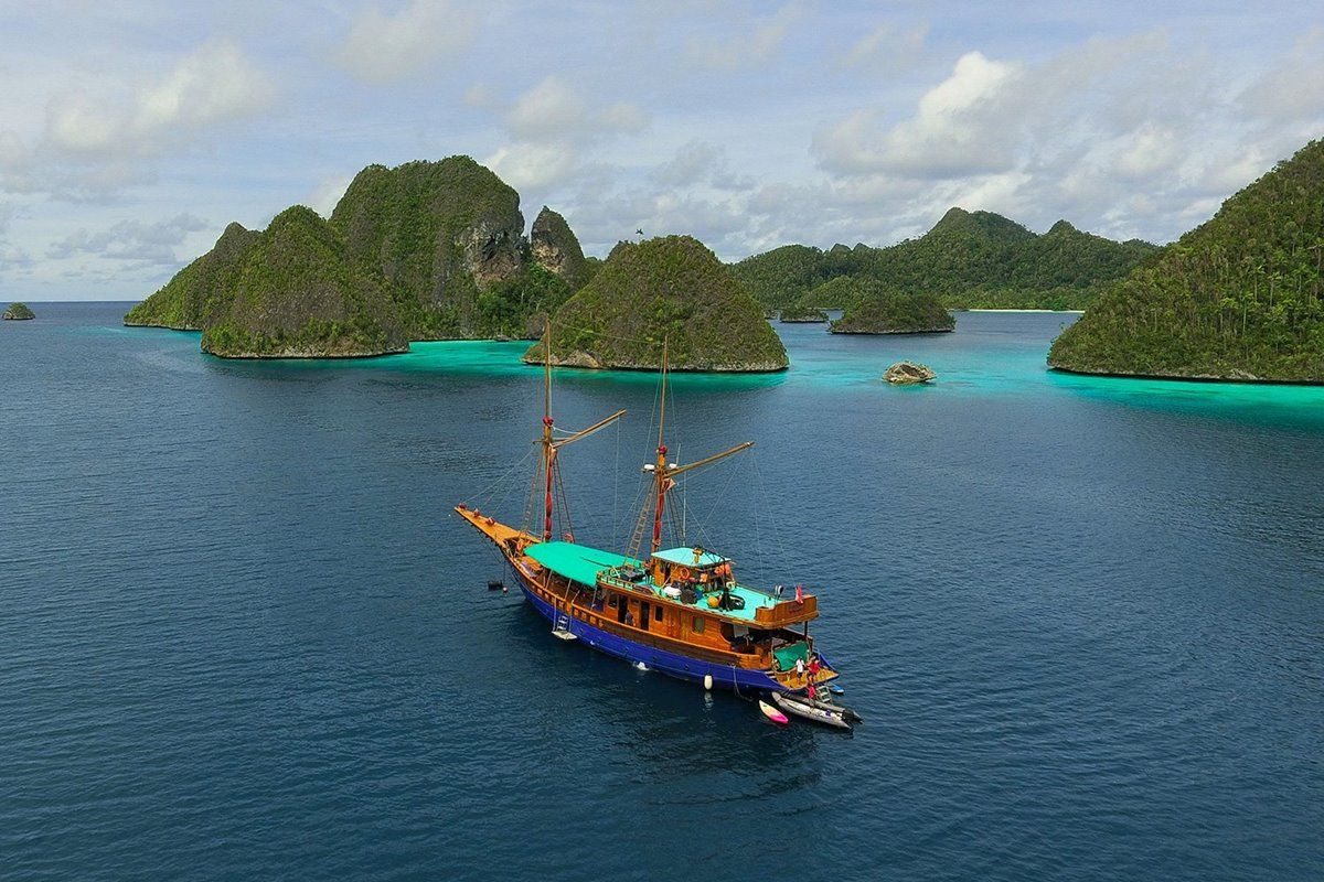 Tiger Blue en Raja Ampat