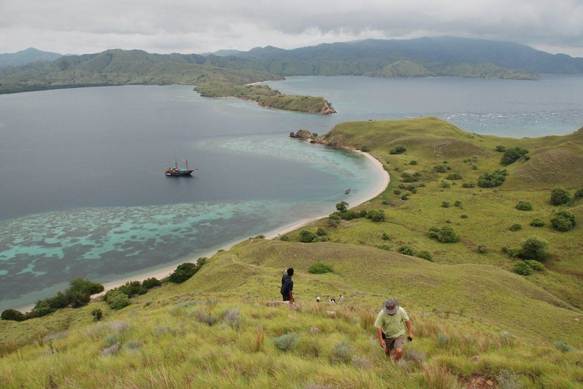 Tiger Blue en Raja Ampat