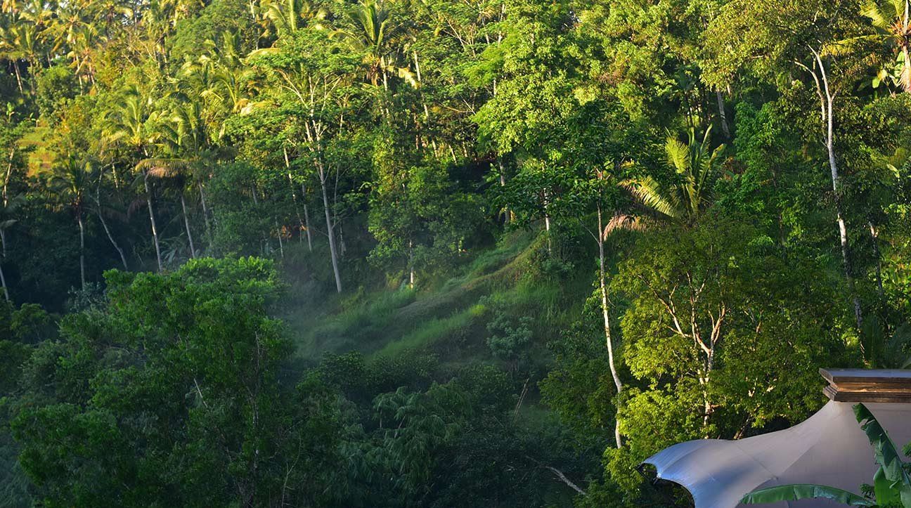 Capella Ubud en Ubud