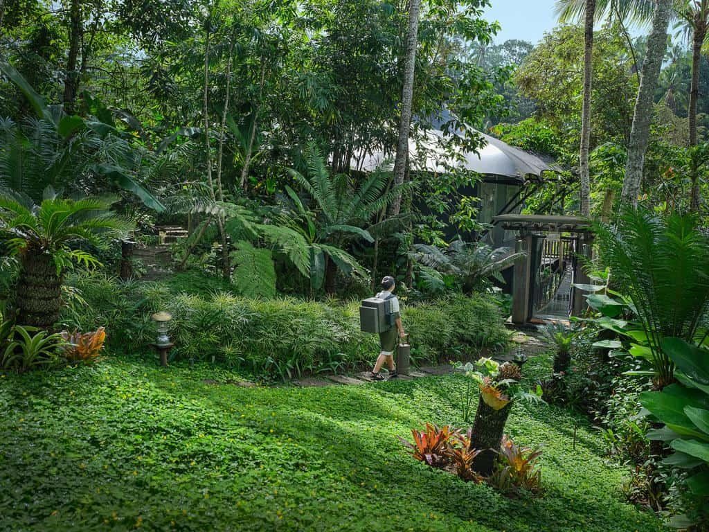 Capella Ubud en Ubud