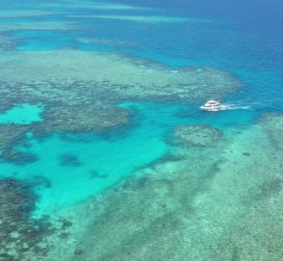 Bedarra Island en Gran Barrera de Coral