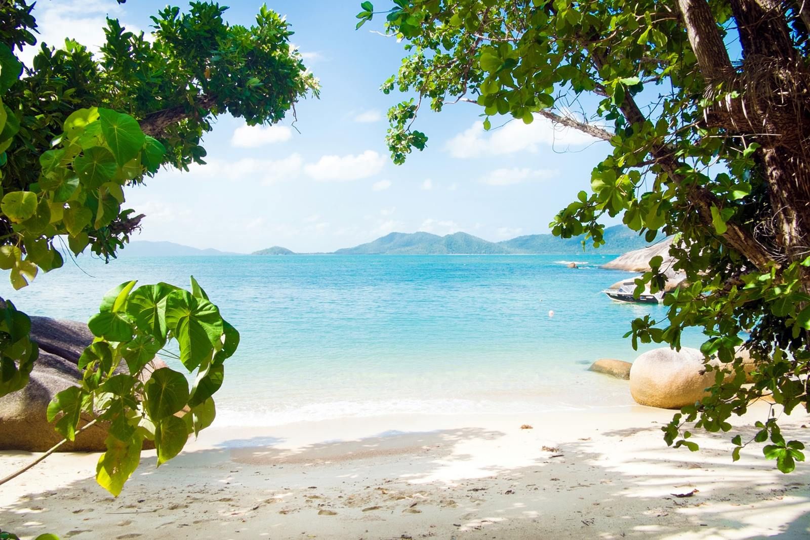 Bedarra Island en Gran Barrera de Coral