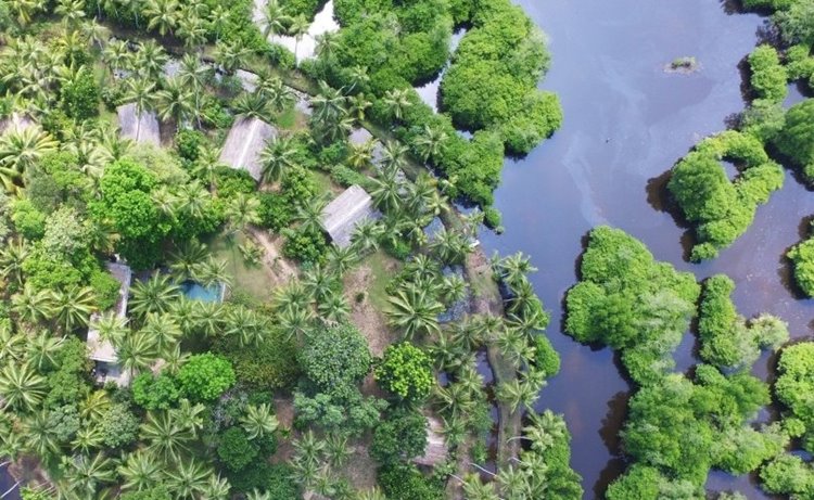 KAJU GREEN eco lodges en Galle