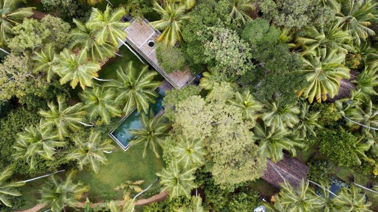 KAJU GREEN eco lodges en Galle