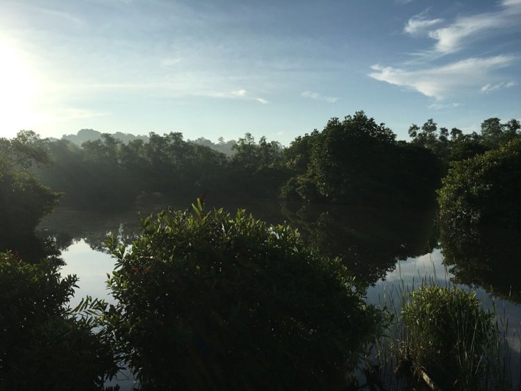 KAJU GREEN eco lodges en Galle