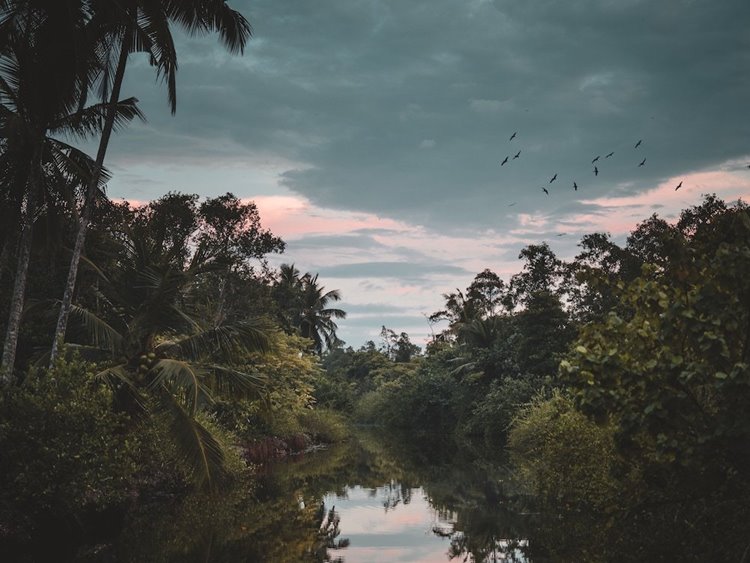 KAJU GREEN eco lodges en Galle