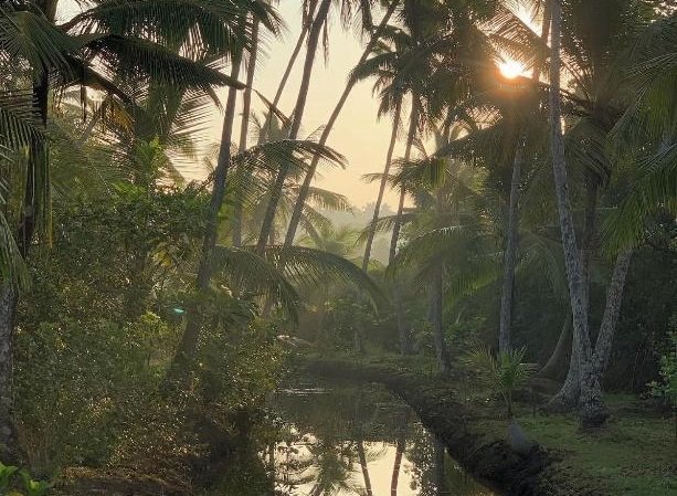 KAJU GREEN eco lodges en Galle