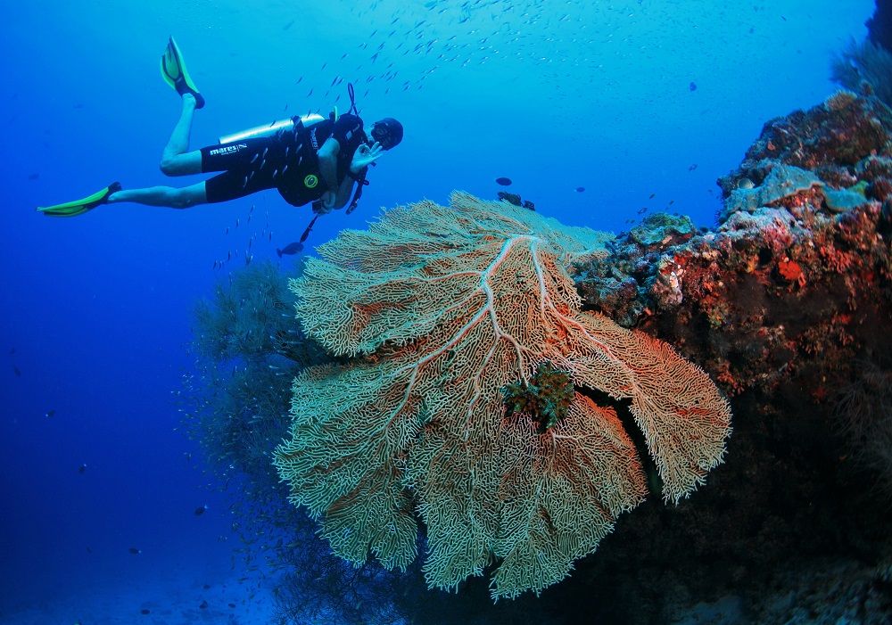 Amilla Maldives en Baa Atoll