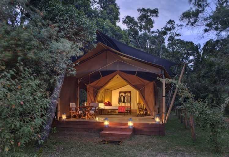 Elephant Pepper Camp by Elewana en su destino